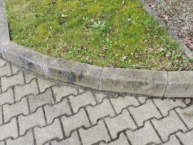 tip-article-image-Wiosenne mycie betonu - jaki preparat zastosować?