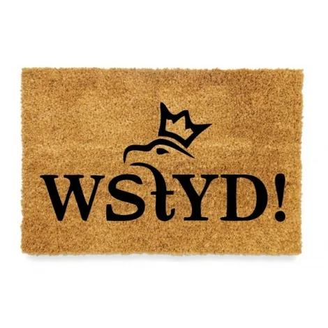 tip-article-image-Nieoczywiste wycieraczki - przywitaj gości w swoim stylu